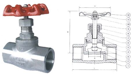 �z����ʽ��ֹ�y