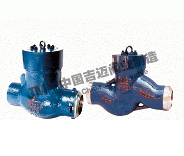 �ߜظ߉�����ֹ���y