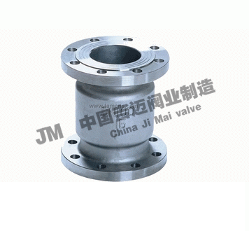 不銹鋼立式止回閥